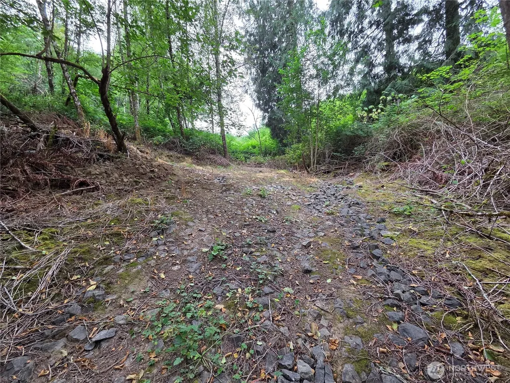 21024 Zenkner Valley Road SW Centralia WA 98531