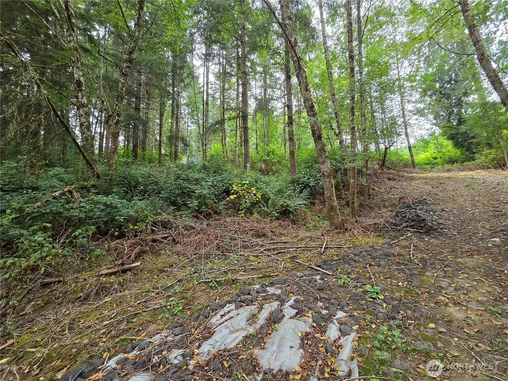 21024 Zenkner Valley Road SW Centralia WA 98531