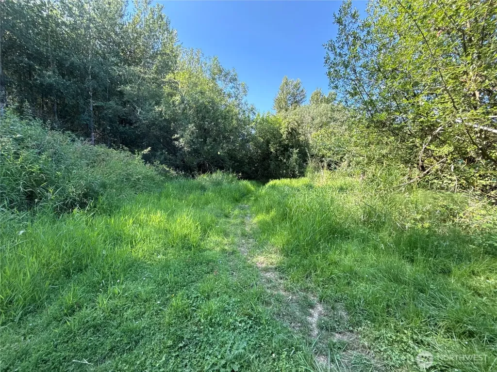 664 State Route 409 Cathlamet WA 98612