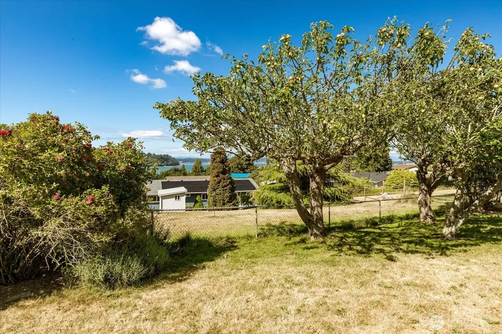 479 Elderberry Street Oak Harbor WA 98277
