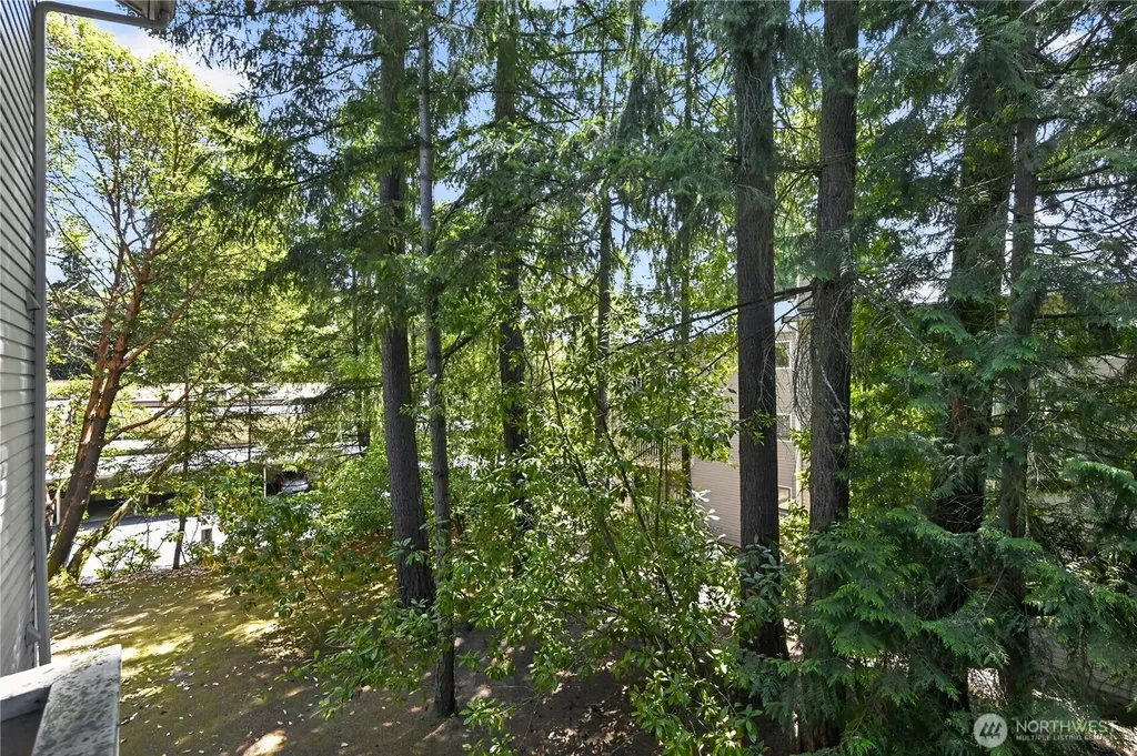 14527 NE 40th Street Bellevue WA 98007