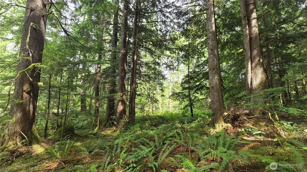 33317 SE Kent Kangley Road Ravensdale WA 98051