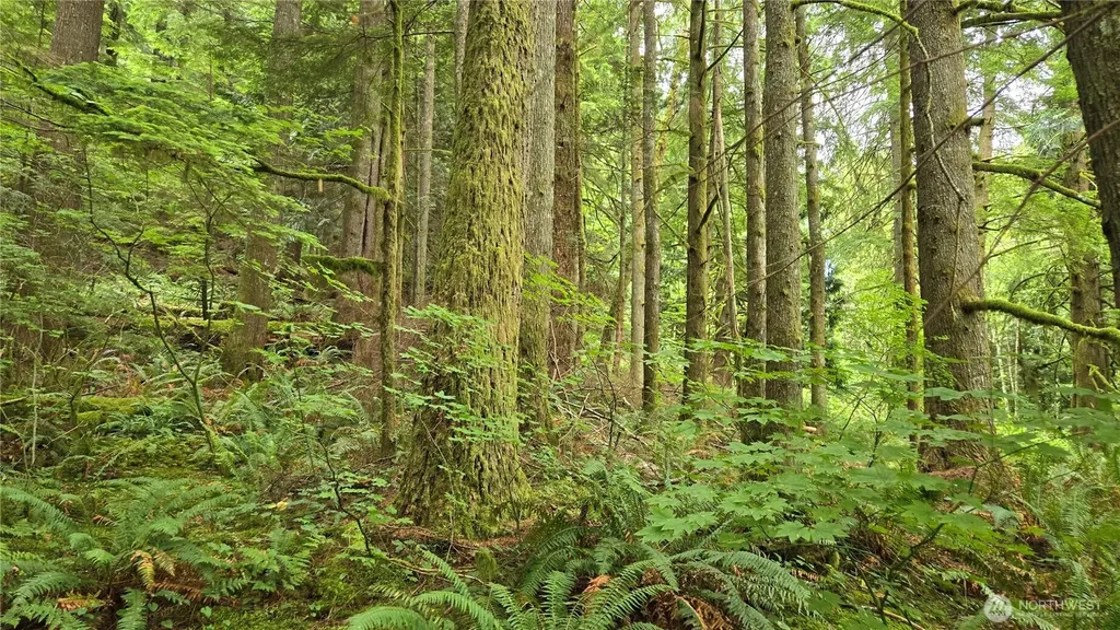 33317 SE Kent Kangley Road Ravensdale WA 98051