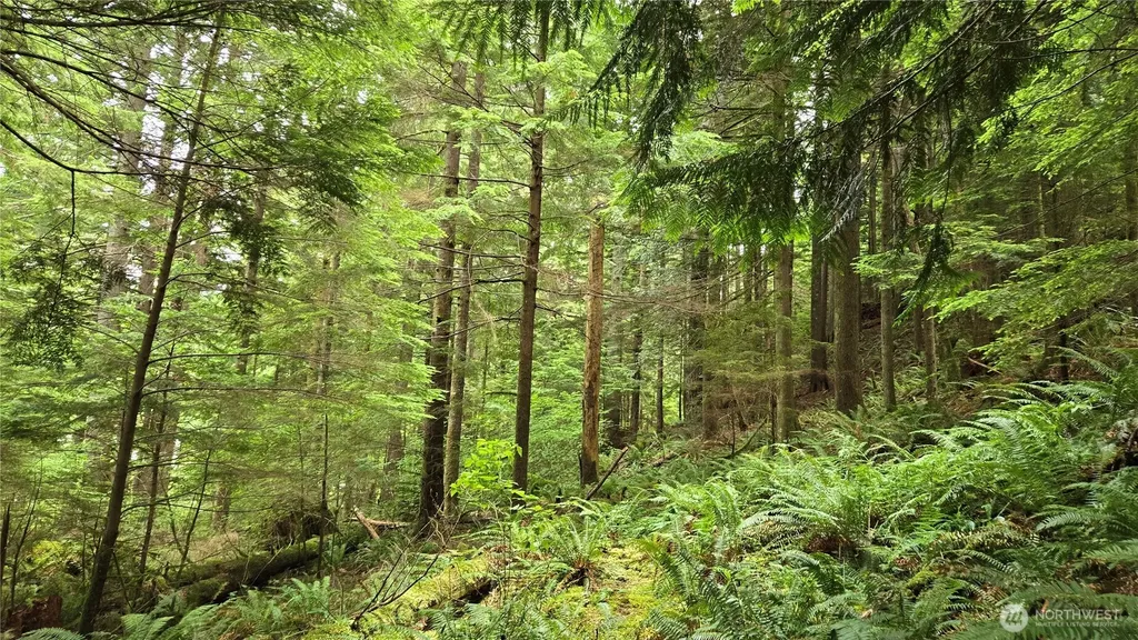 33317 SE Kent Kangley Road Ravensdale WA 98051