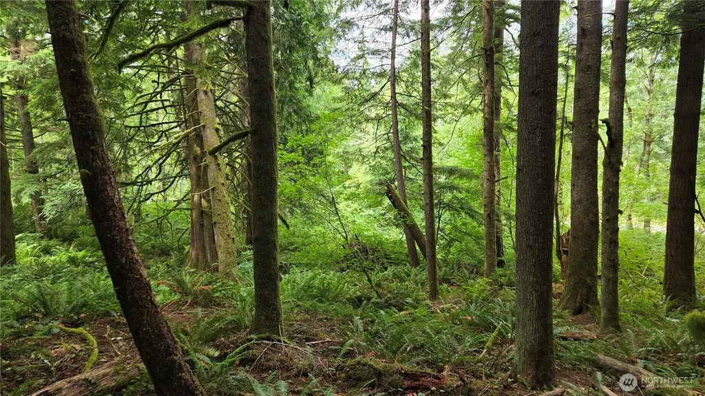 33317 SE Kent Kangley Road Ravensdale WA 98051