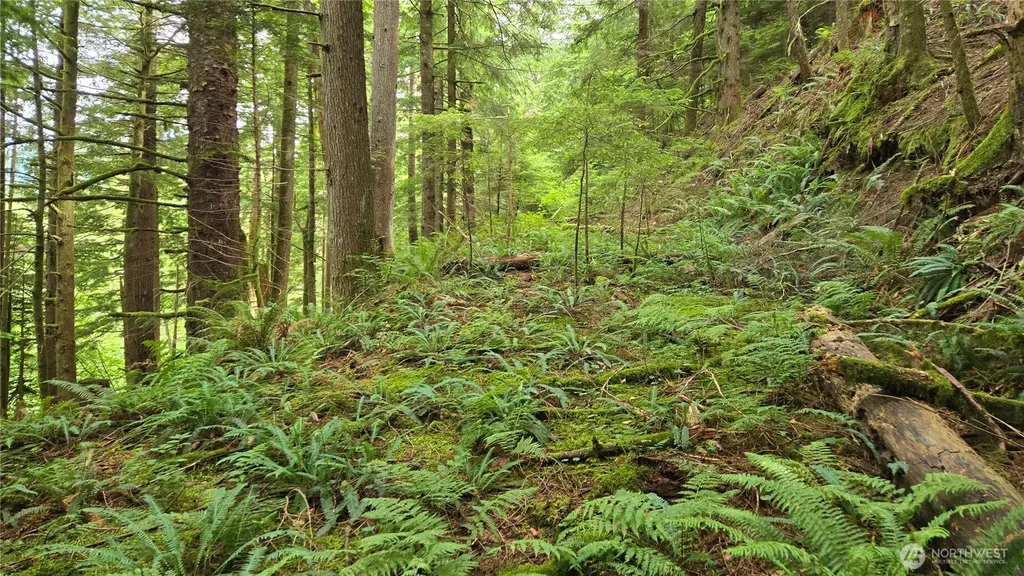 33317 SE Kent Kangley Road Ravensdale WA 98051