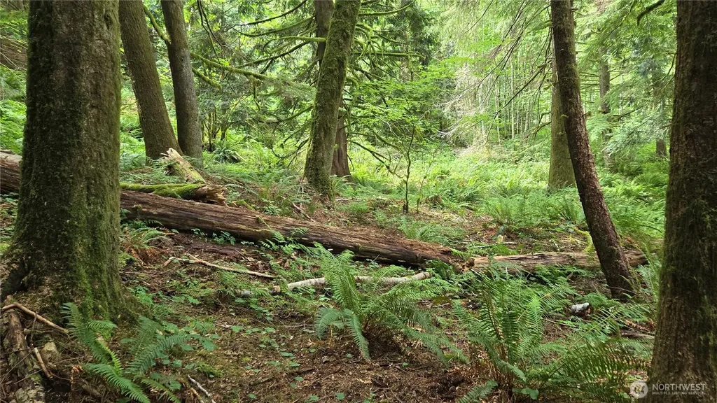 33317 SE Kent Kangley Road Ravensdale WA 98051