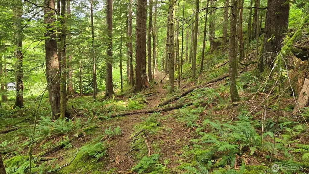 33317 SE Kent Kangley Road Ravensdale WA 98051