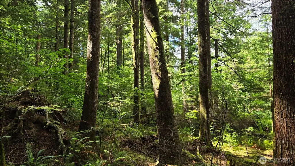 33317 SE Kent Kangley Road Ravensdale WA 98051