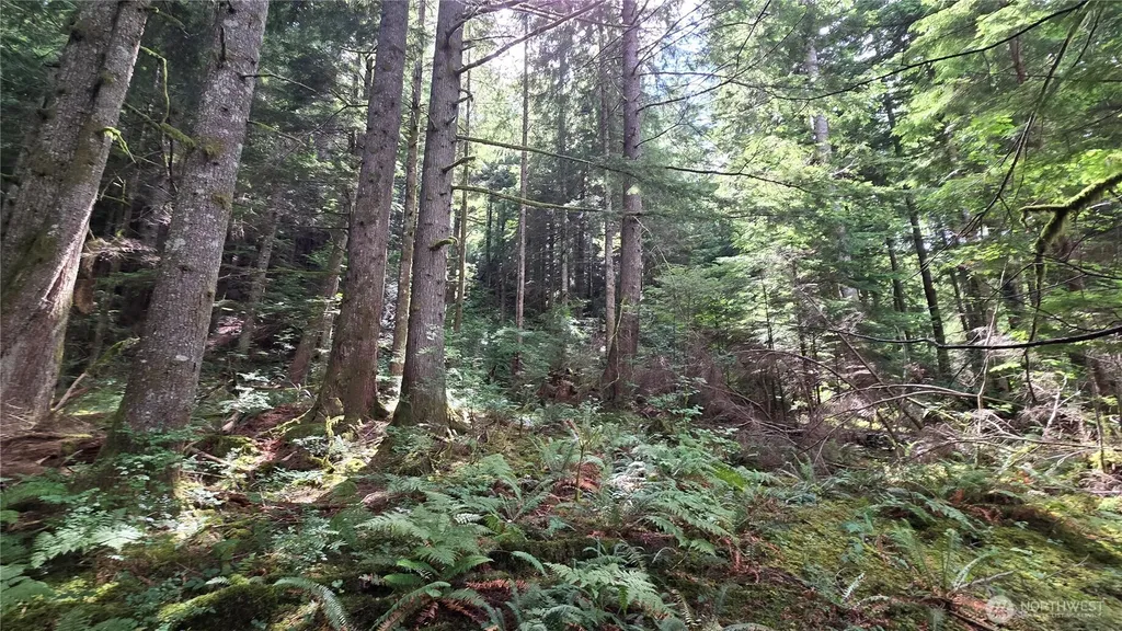 33317 SE Kent Kangley Road Ravensdale WA 98051