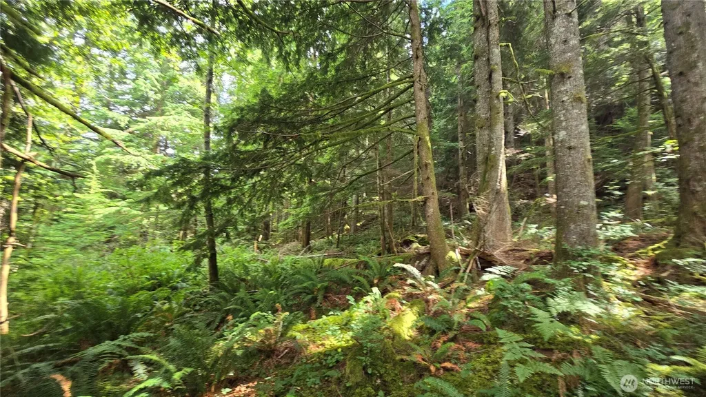 33317 SE Kent Kangley Road Ravensdale WA 98051