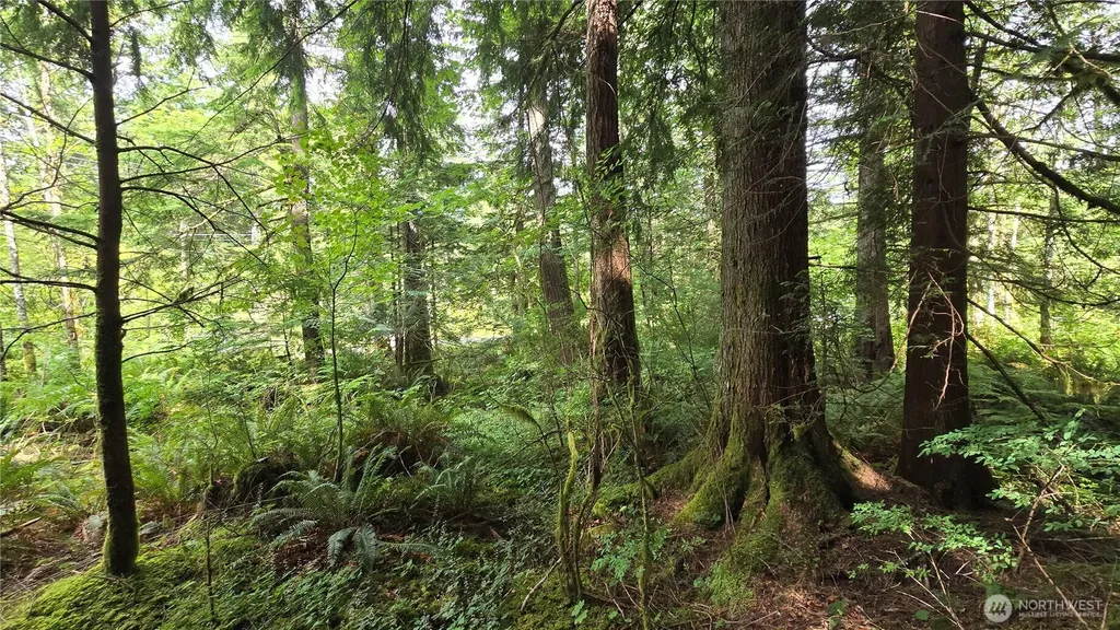 33317 SE Kent Kangley Road Ravensdale WA 98051