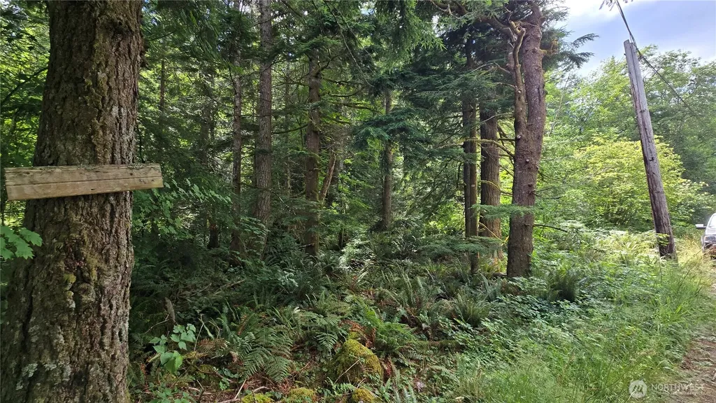 33317 SE Kent Kangley Road Ravensdale WA 98051