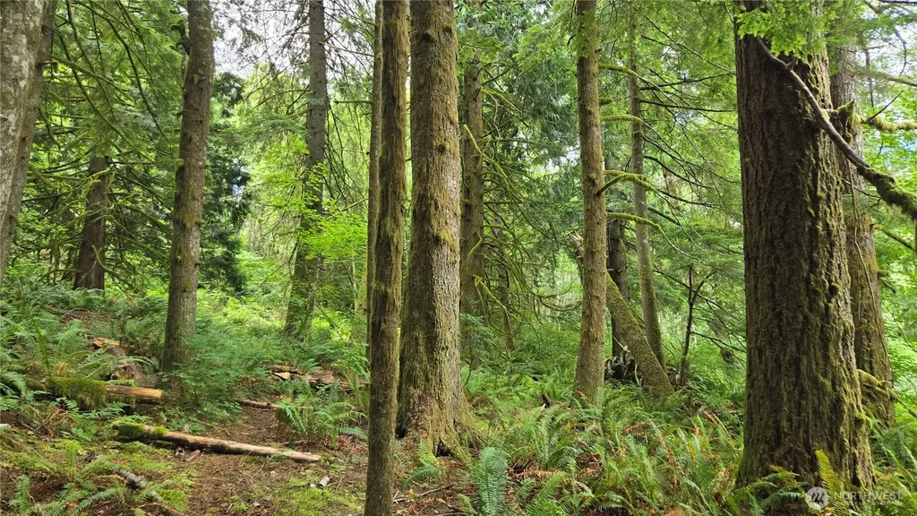 33317 SE Kent Kangley Road Ravensdale WA 98051