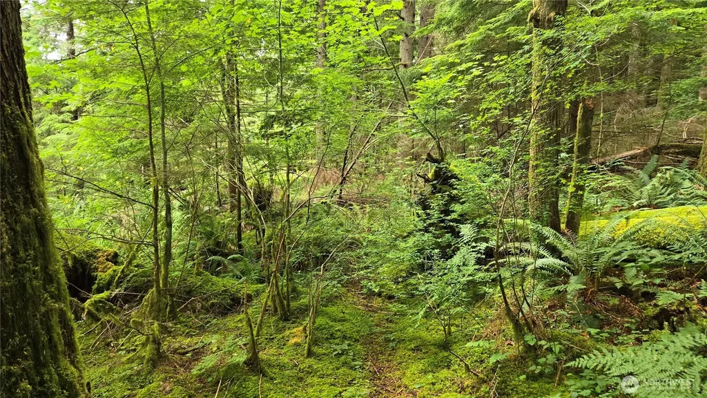 33317 SE Kent Kangley Road Ravensdale WA 98051