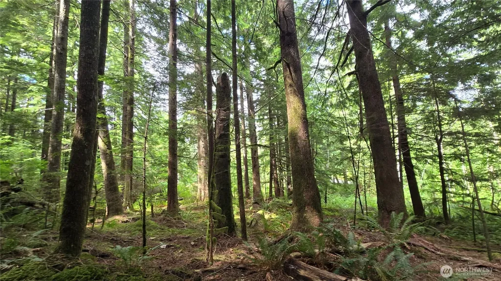 33317 SE Kent Kangley Road Ravensdale WA 98051