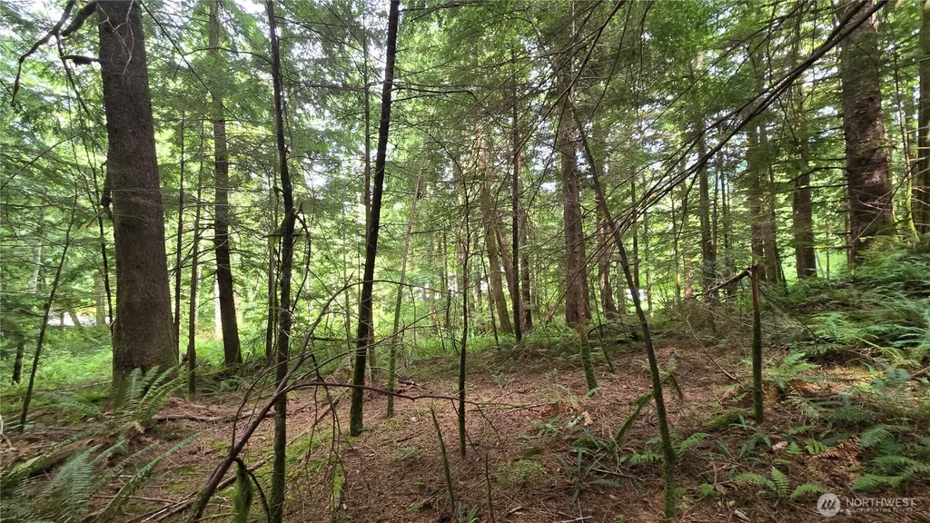 33317 SE Kent Kangley Road Ravensdale WA 98051