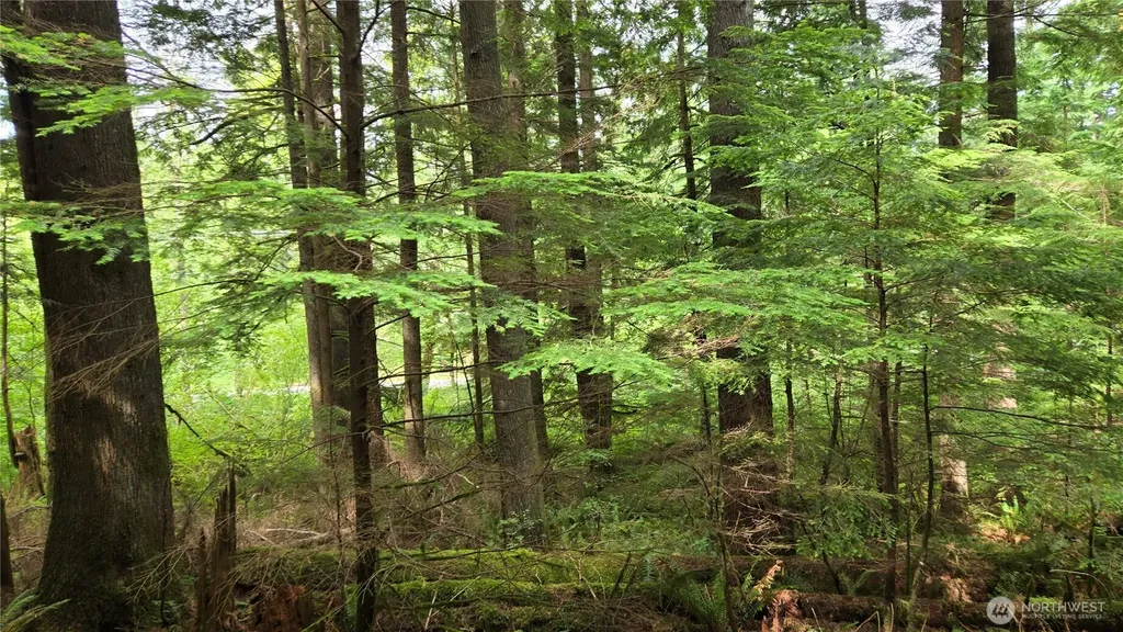 33317 SE Kent Kangley Road Ravensdale WA 98051