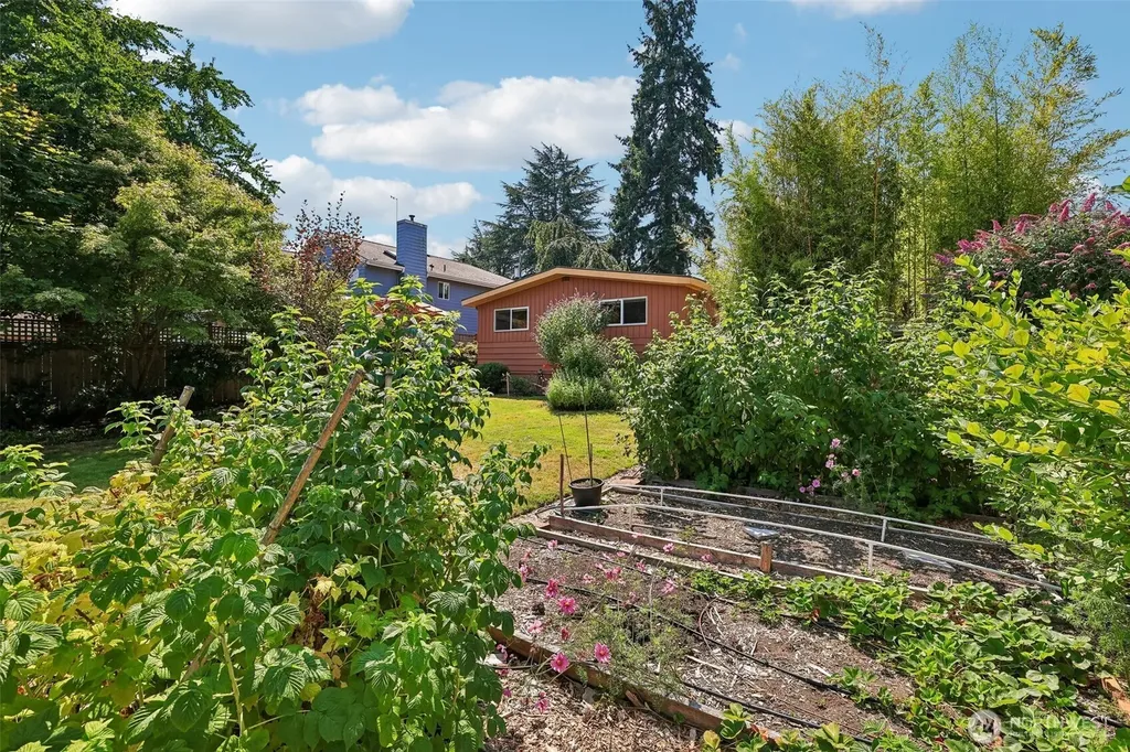 11746 22nd Avenue NE Seattle WA 98125