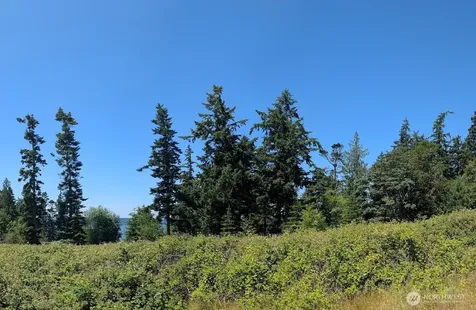 4343 S Camano Drive Camano Island WA 98282