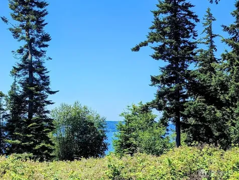 4343 S Camano Drive Camano Island WA 98282