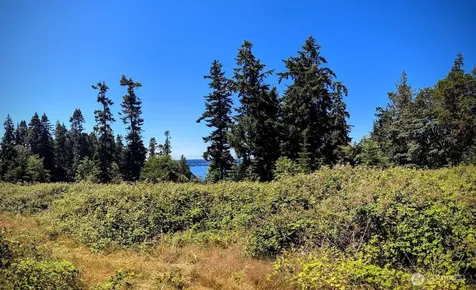 4343 S Camano Drive Camano Island WA 98282