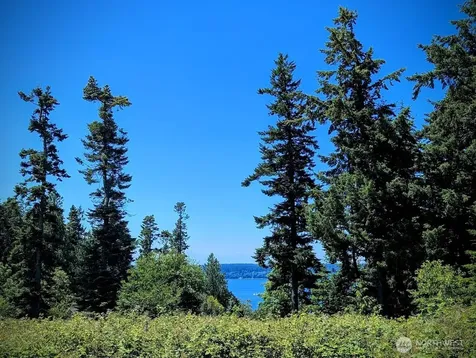4343 S Camano Drive Camano Island WA 98282