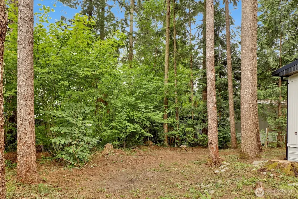 8558 Golden Valley Drive Maple Falls WA 98266