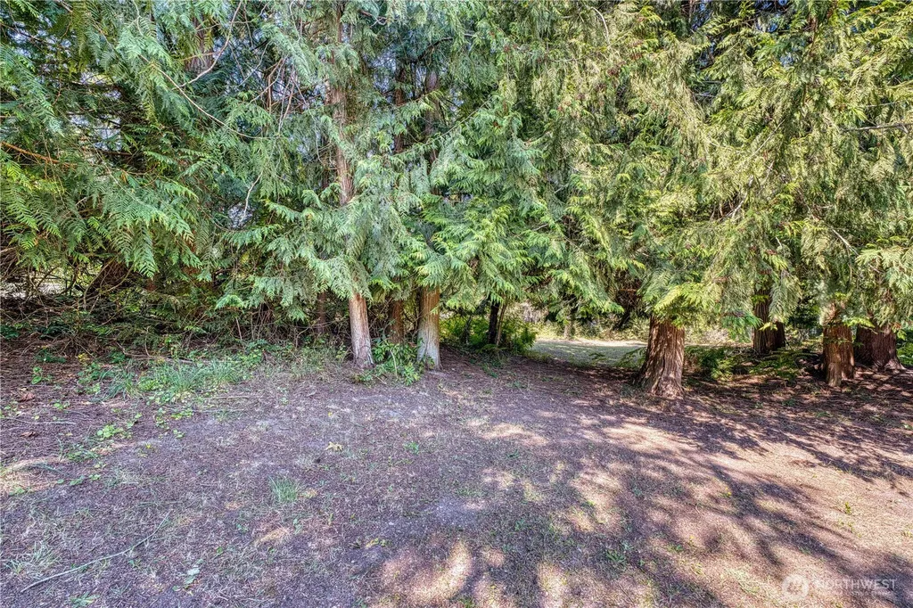 410 El Camino Drive Sequim WA 98382