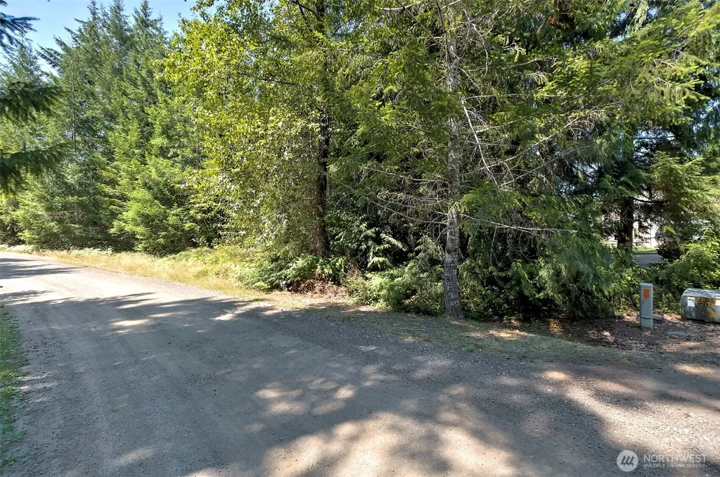 221 W Little Nahwatzel Drive Shelton WA 98584