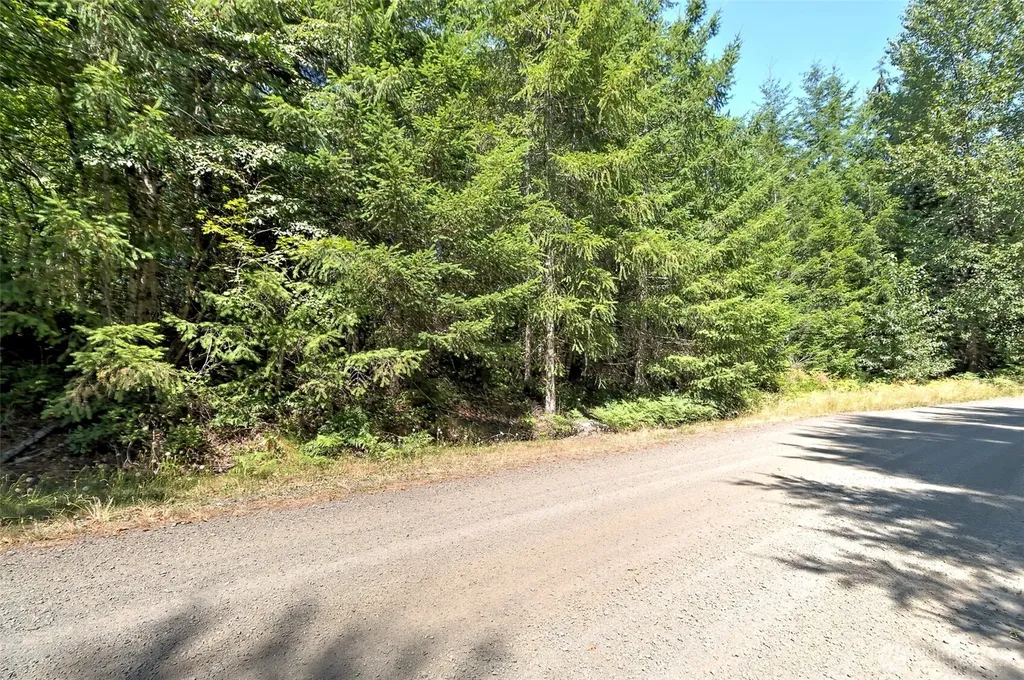 221 W Little Nahwatzel Drive Shelton WA 98584