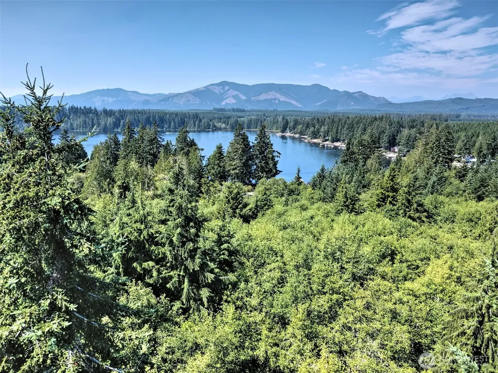 221 W Little Nahwatzel Drive Shelton WA 98584