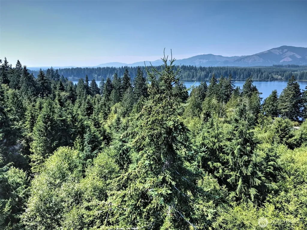221 W Little Nahwatzel Drive Shelton WA 98584
