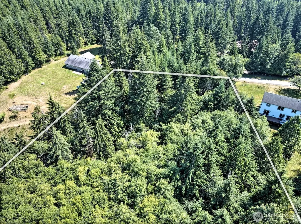 221 W Little Nahwatzel Drive Shelton WA 98584