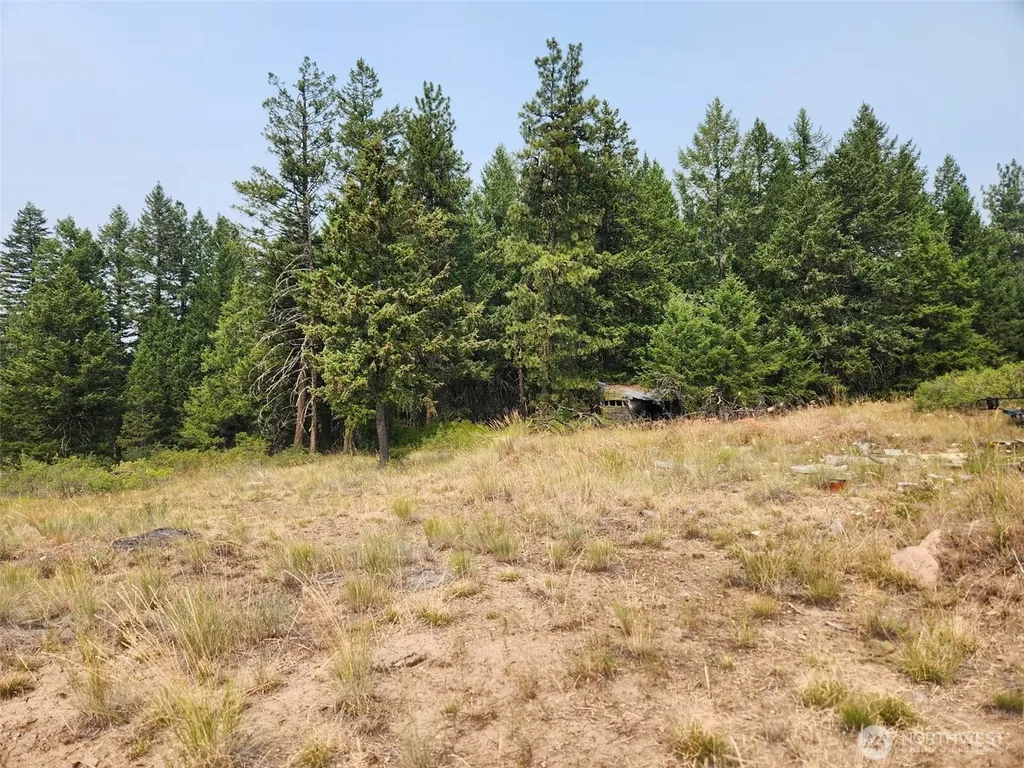 250 Union Ridge Road Republic WA 99166