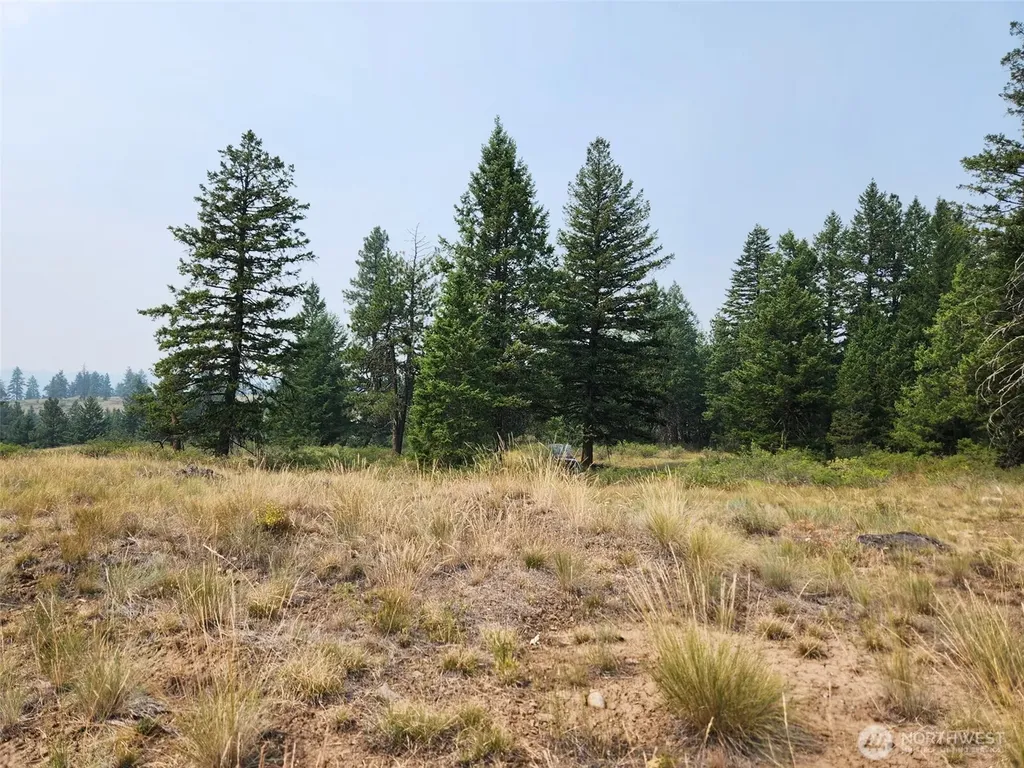 250 Union Ridge Road Republic WA 99166