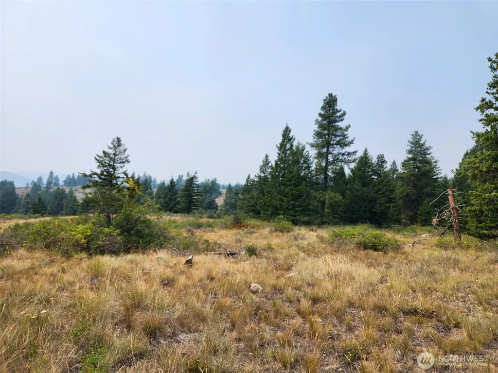 250 Union Ridge Road Republic WA 99166