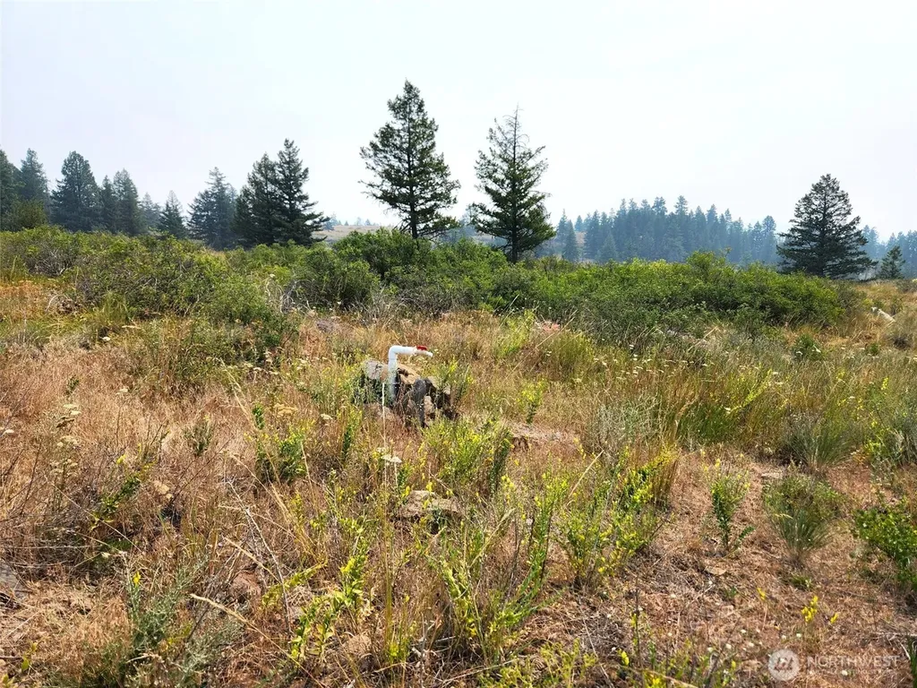 250 Union Ridge Road Republic WA 99166