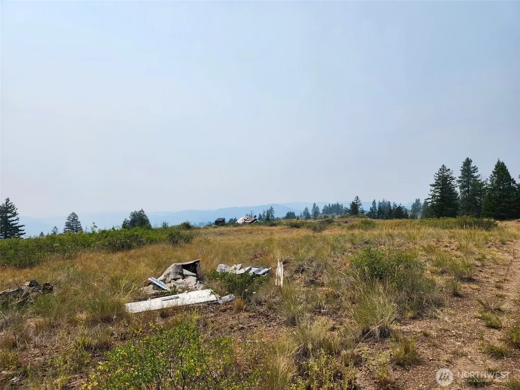 250 Union Ridge Road Republic WA 99166