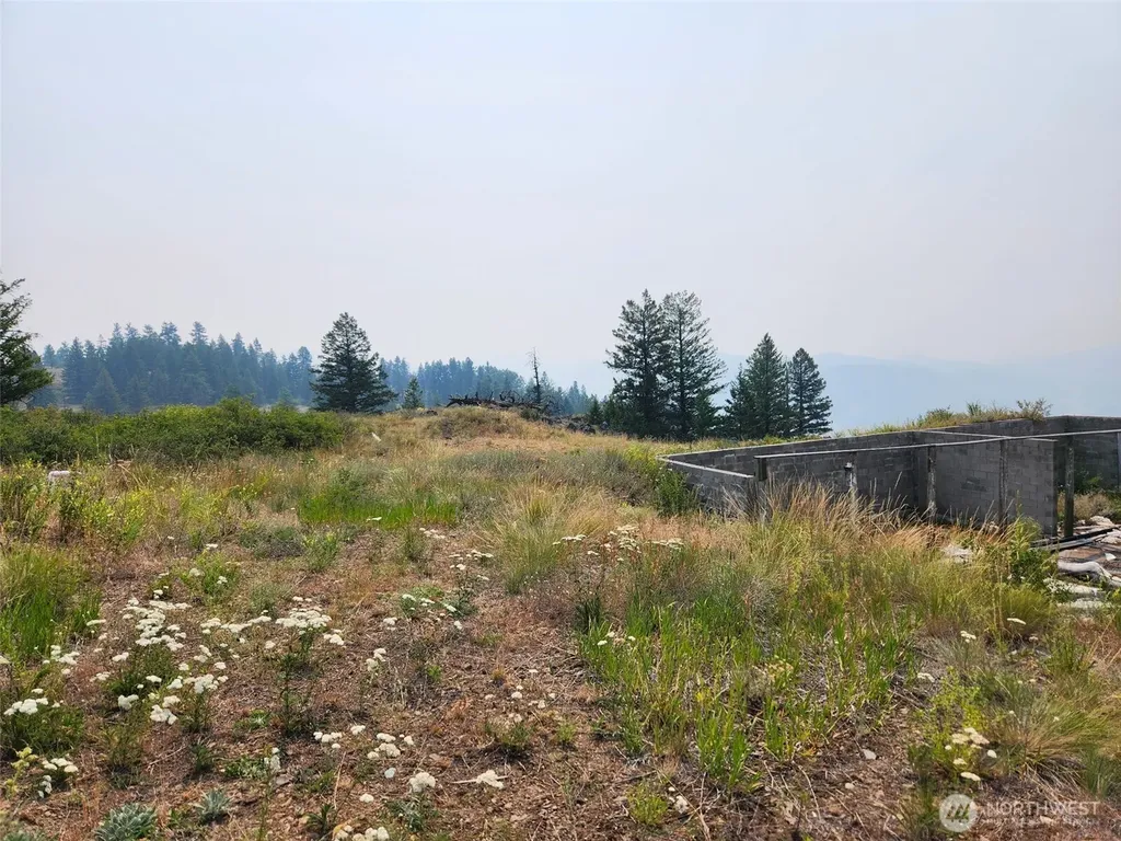 250 Union Ridge Road Republic WA 99166