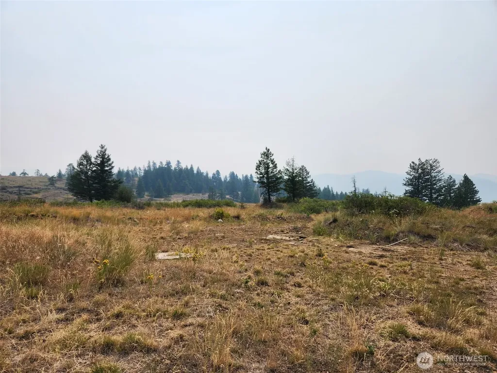 250 Union Ridge Road Republic WA 99166