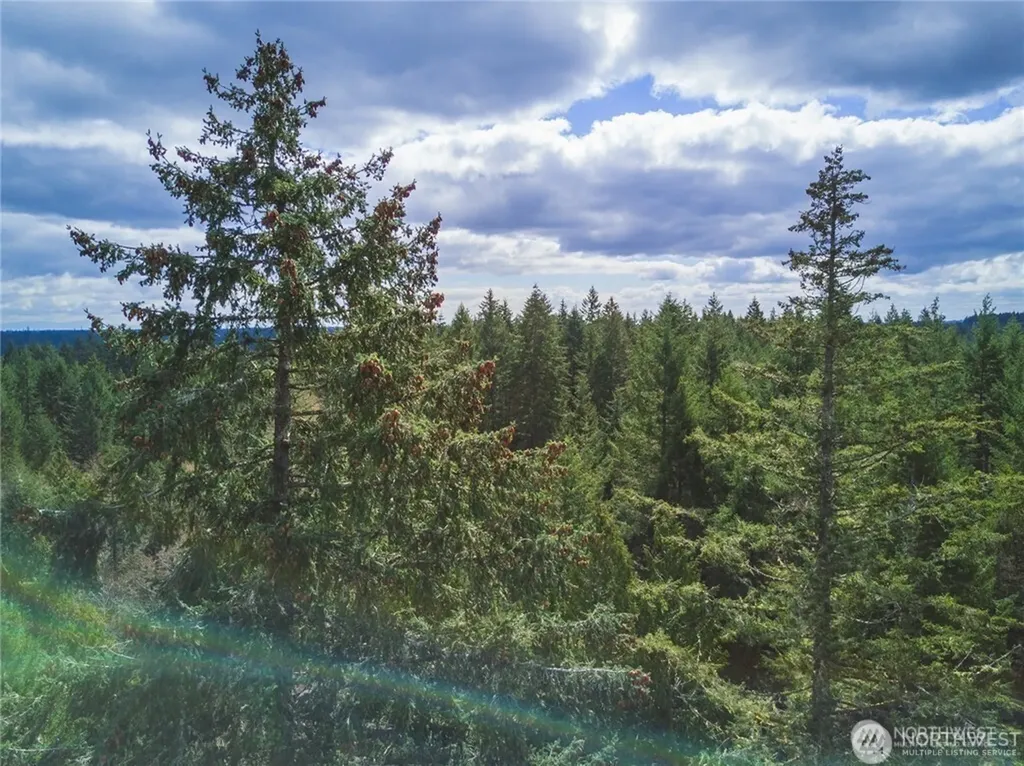0 SW County Line Road Port Orchard WA 98367