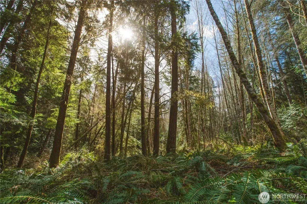 0 SW County Line Road Port Orchard WA 98367