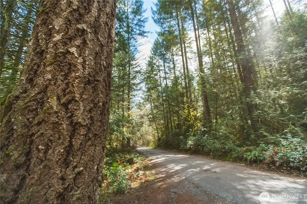 0 SW County Line Road Port Orchard WA 98367