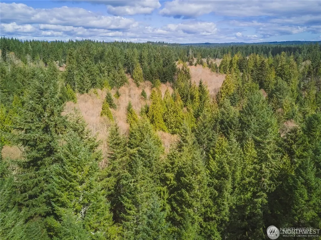 0 SW County Line Road Port Orchard WA 98367