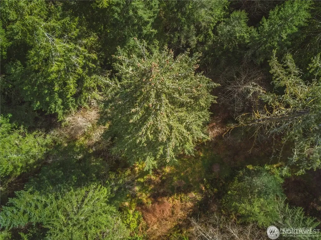 0 SW County Line Road Port Orchard WA 98367