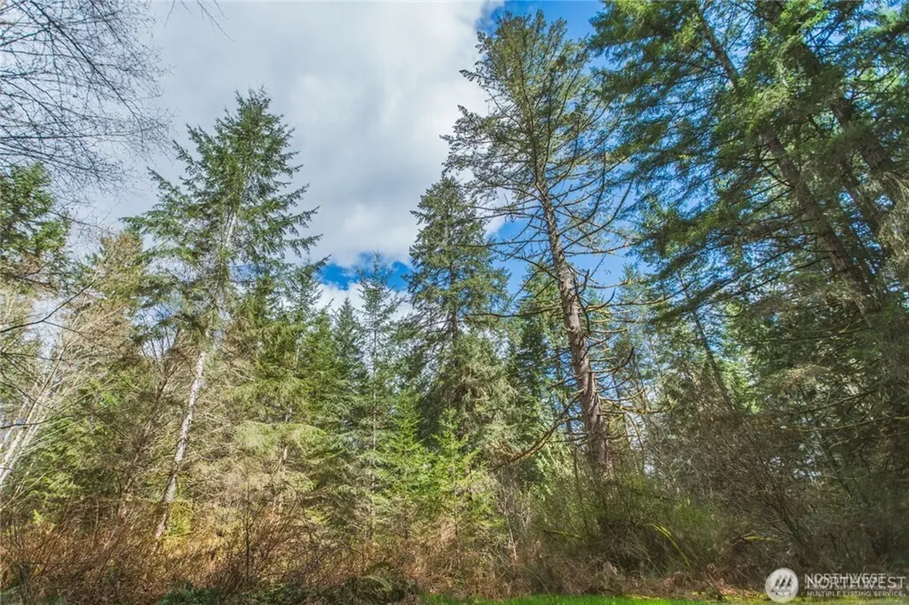 0 SW County Line Road Port Orchard WA 98367