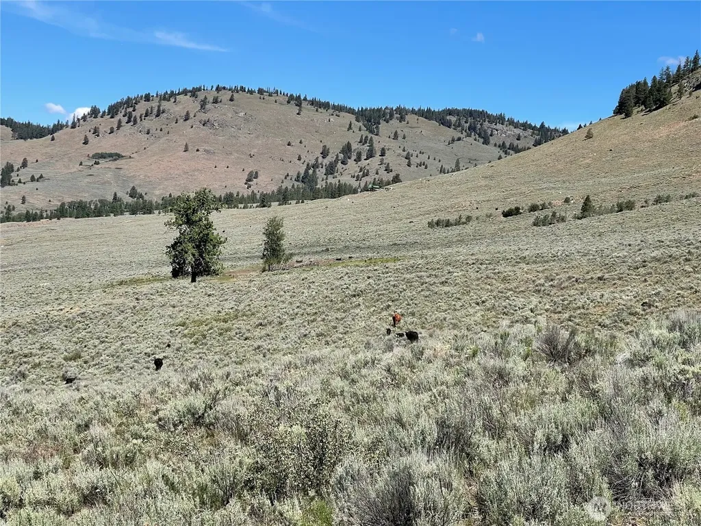 234 One Sky View Drive Tonasket WA 98855