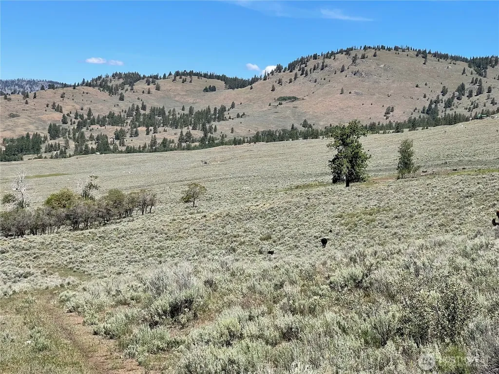234 One Sky View Drive Tonasket WA 98855