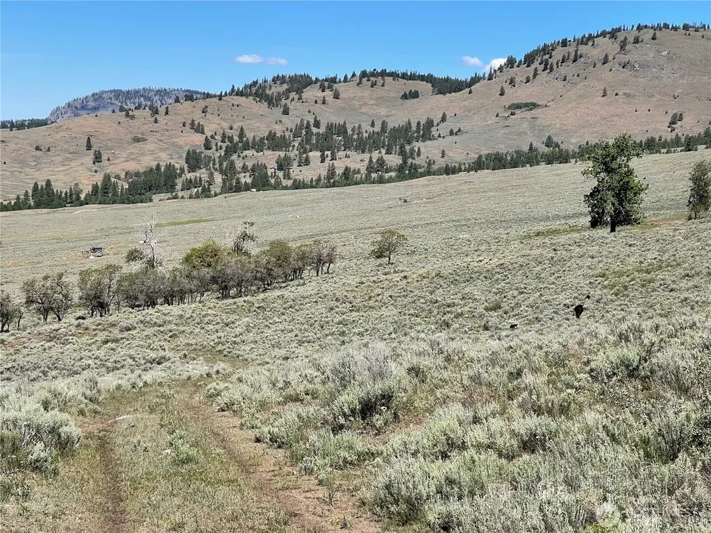 234 One Sky View Drive Tonasket WA 98855